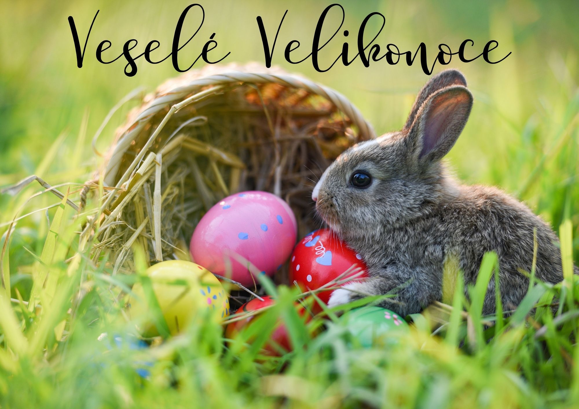 1 VESEL&Eacute; VELIKONOCE