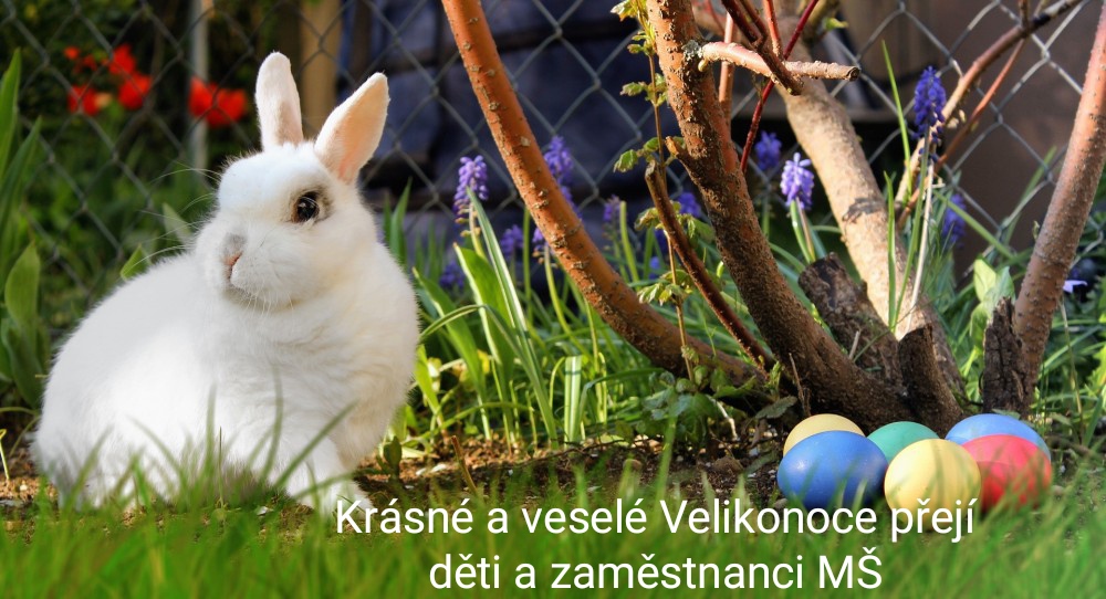 IMG_20220415_103204 Vesel&eacute; Velikonoce