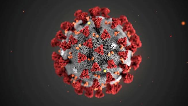 koronavirus image koronavirus Aktuální informace