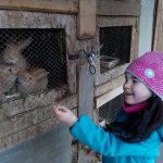 phoca_thumb_m_amlka Fotogalerie