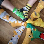 phoca_thumb_m_1 Fotogalerie