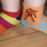 phoca_thumb_m_20210321_151657 Fotogalerie
