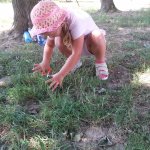 phoca_thumb_m_20210621_101614 Fotogalerie