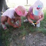 phoca_thumb_m_20210621_101846 Fotogalerie