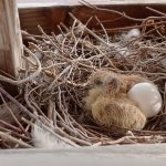 phoca_thumb_m_002 Fotogalerie