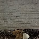 phoca_thumb_m_003 Fotogalerie