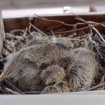 phoca_thumb_m_004 Fotogalerie