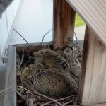 phoca_thumb_m_005 Fotogalerie