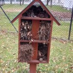 phoca_thumb_m_img_20211112_104558 Fotogalerie