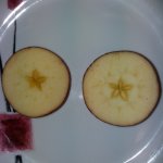phoca_thumb_m_20211220_094912 Fotogalerie