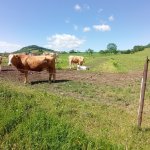 phoca_thumb_m_img_20220527_102052 Fotogalerie