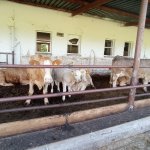 phoca_thumb_m_img_20220527_102151 Fotogalerie