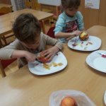 phoca_thumb_m_20221012_071802 Fotogalerie