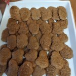phoca_thumb_m_20221202_090410 Fotogalerie