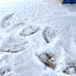 phoca_thumb_m_img-20221217-wa0007 Fotogalerie