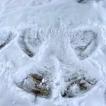 phoca_thumb_m_img-20221217-wa0010 Fotogalerie