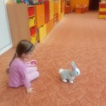 phoca_thumb_m_img_20230106_093558 Fotogalerie