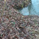 phoca_thumb_m_20230111_095025 Fotogalerie