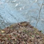 phoca_thumb_m_20230111_095053 Fotogalerie