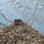 phoca_thumb_m_20230111_095447 Fotogalerie