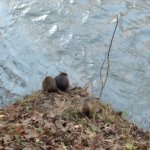phoca_thumb_m_20230111_095453 Fotogalerie