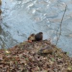 phoca_thumb_m_20230111_095501 Fotogalerie