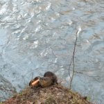 phoca_thumb_m_20230111_095530 Fotogalerie