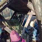 phoca_thumb_m_20230111_100648 Fotogalerie