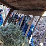 phoca_thumb_m_20230111_100657 Fotogalerie