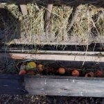 phoca_thumb_m_20230111_100859 Fotogalerie