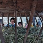 phoca_thumb_m_20230111_100945 Fotogalerie