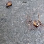 phoca_thumb_m_img_20230116_103715 Fotogalerie