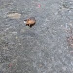 phoca_thumb_m_img_20230116_103720 Fotogalerie