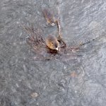 phoca_thumb_m_img_20230116_103724 Fotogalerie