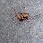 phoca_thumb_m_img_20230116_103730 Fotogalerie