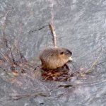 phoca_thumb_m_img_20230116_103739 Fotogalerie