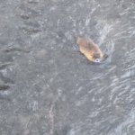 phoca_thumb_m_img_20230116_103756 Fotogalerie