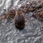 phoca_thumb_m_img_20230116_103812 Fotogalerie