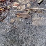 phoca_thumb_m_img_20230116_104002 Fotogalerie