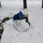 phoca_thumb_m_20230124_104120 Fotogalerie