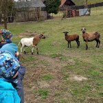 phoca_thumb_m_20230322_101556 Fotogalerie
