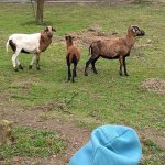 phoca_thumb_m_20230322_101630 Fotogalerie