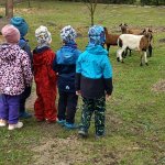phoca_thumb_m_20230322_101700 Fotogalerie