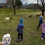 phoca_thumb_m_20230322_101906 Fotogalerie