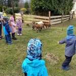 phoca_thumb_m_20230322_101956 Fotogalerie