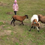 phoca_thumb_m_20230322_102354 Fotogalerie