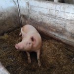 phoca_thumb_m_img_20230323_095444 Fotogalerie