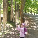 phoca_thumb_m_img-20230512-wa0008 Fotogalerie
