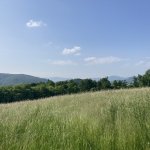 phoca_thumb_m_img_1029 Fotogalerie