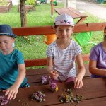 phoca_thumb_m_img_20230630_110749 Fotogalerie